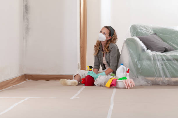 Reliable Mold Remediation contractor in Ocoee, FL by 24 Hour Mold Removal